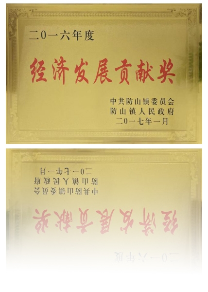 經(jīng)濟(jì)發(fā)展貢獻(xiàn)獎
